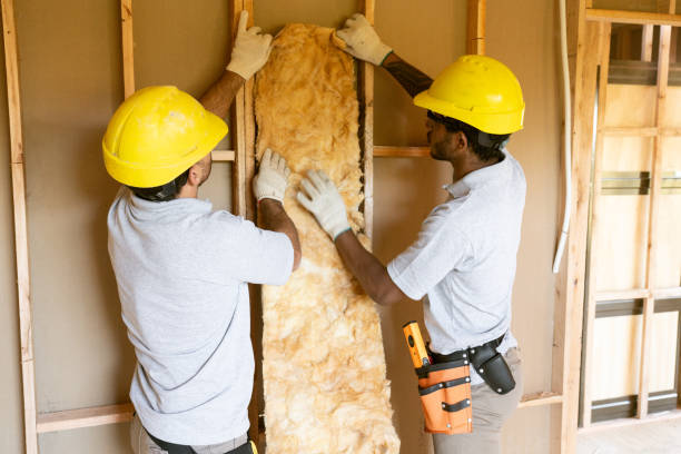 Types of Insulation We Offer in Greenville, NC